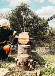 Tree removal in Toms River expert cutting down a tree