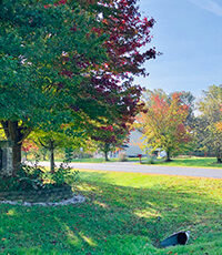 Tree removal in Toms River keeps yards looking neat
